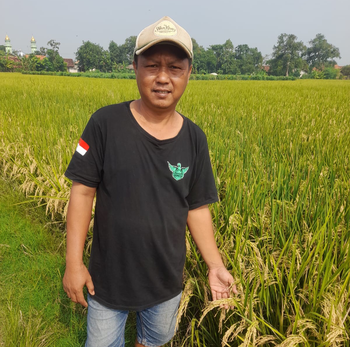“Lumbung Pangan yang Terluka: Tokoh Petani Karawang Pertanyakan Keadilan Pajak, Janji Pajak Gratis di Pematang Sawah: Petani Karawang Masih Membayar Ke Pemerintah”